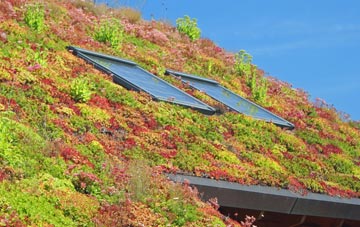Ashcott Corner living roof systems